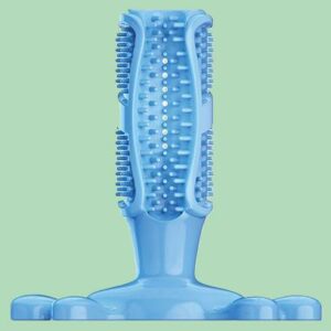 Stick brosse à dent caoutchouc Doogy, Taille 12,6 cm , chien moyen